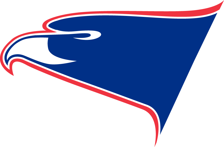 Southern Indiana Screaming Eagles 2002-2014 Secondary Logo diy iron on heat transfer